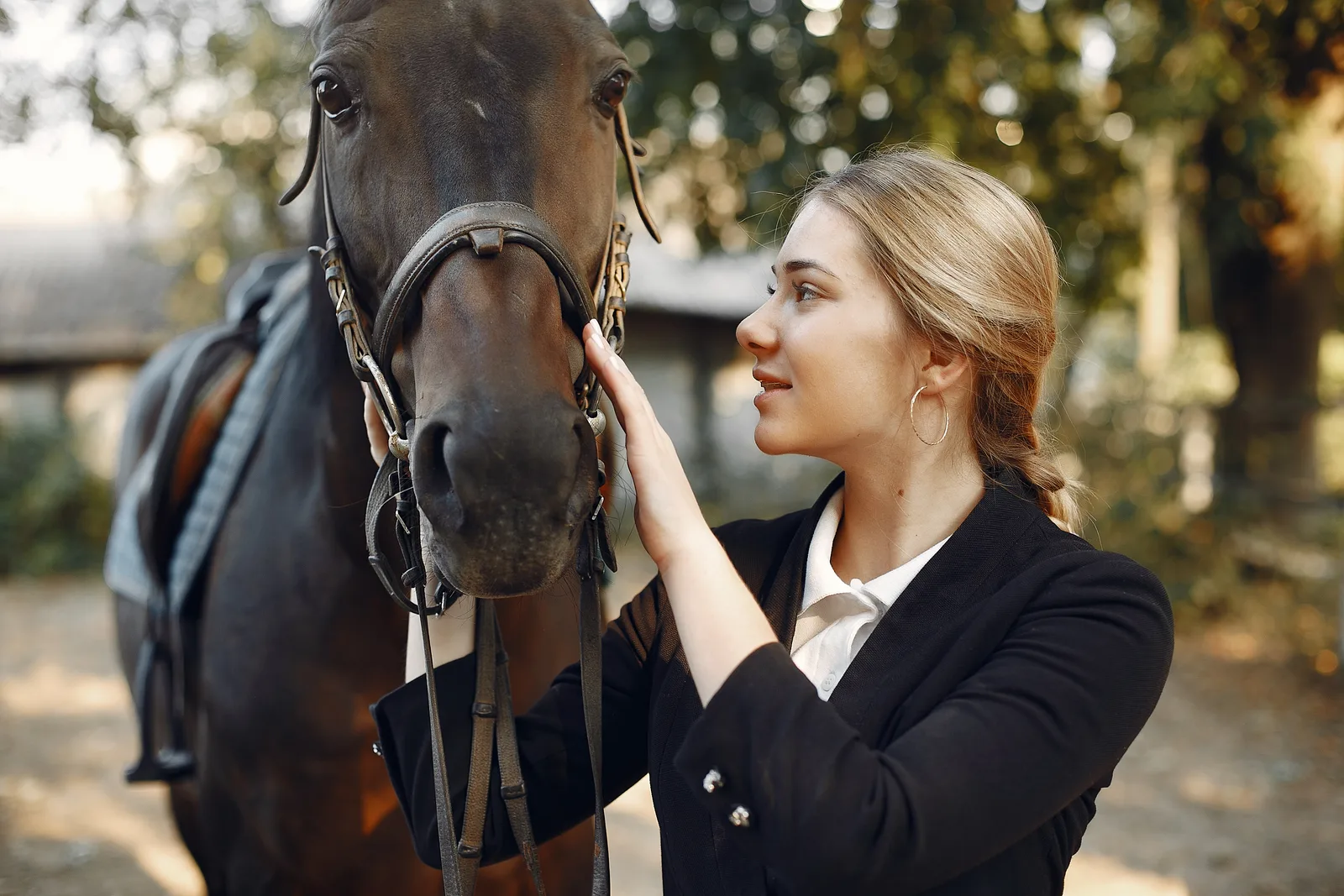 Activité équi-coaching au Domaine de l'Ardoise — team building au contact du cheval